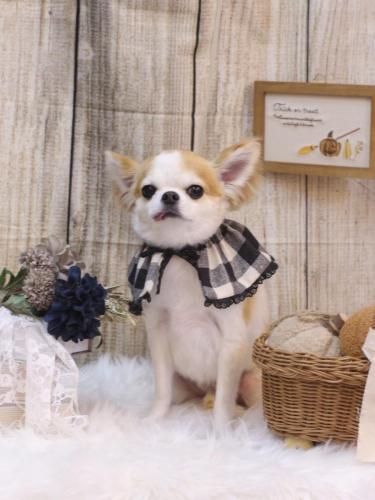 20241012くうくん